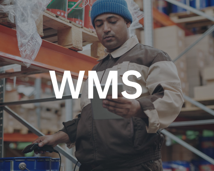 WmSϵͳ